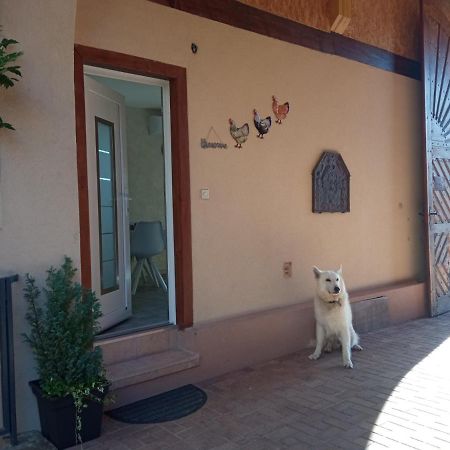 Gites Les Cocottes Zellwiller Buitenkant foto