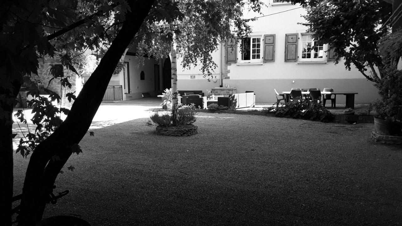 Gites Les Cocottes Zellwiller Buitenkant foto