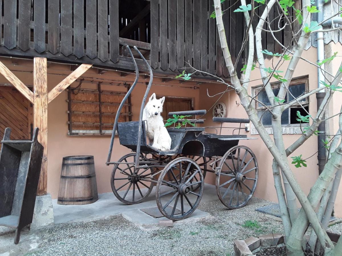 Gites Les Cocottes Zellwiller Buitenkant foto